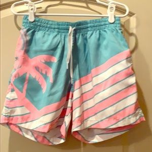Men’s chubbies swim trunks